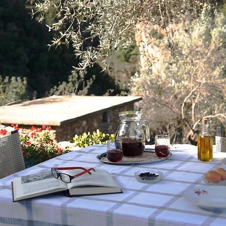 فيلا Kleanthi'S House خانيا المظهر الخارجي الصورة