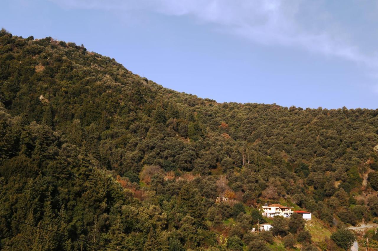 فيلا Kleanthi'S House خانيا المظهر الخارجي الصورة